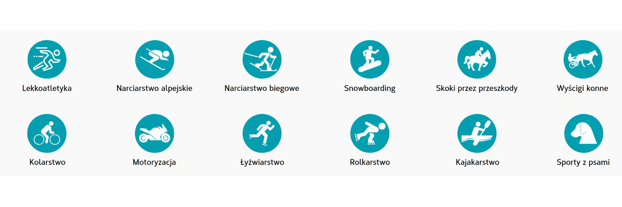 chronometr-microgate-rtpro-specyfikacja